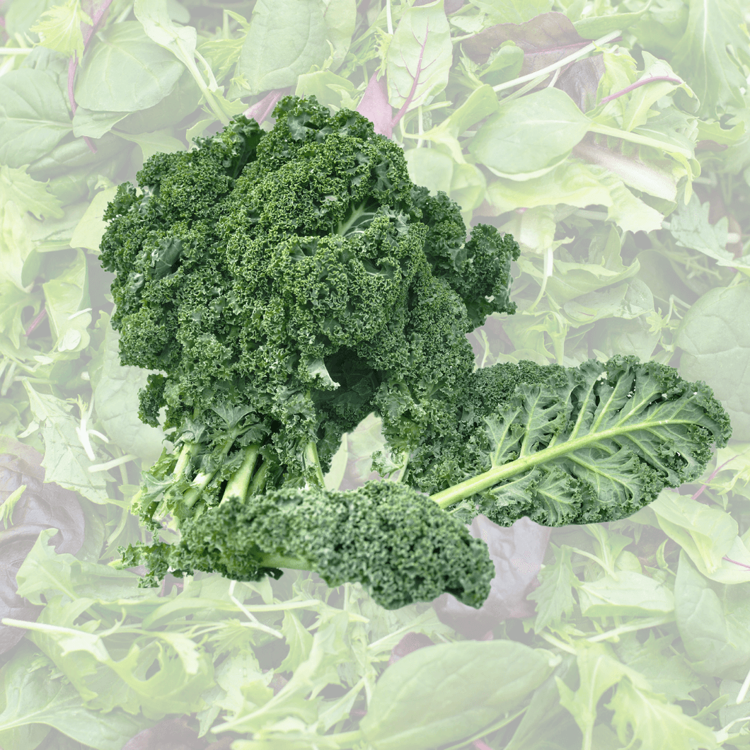 Organic Kale mix || 200g